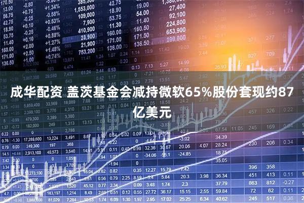 成华配资 盖茨基金会减持微软65%股份套现约87亿美元