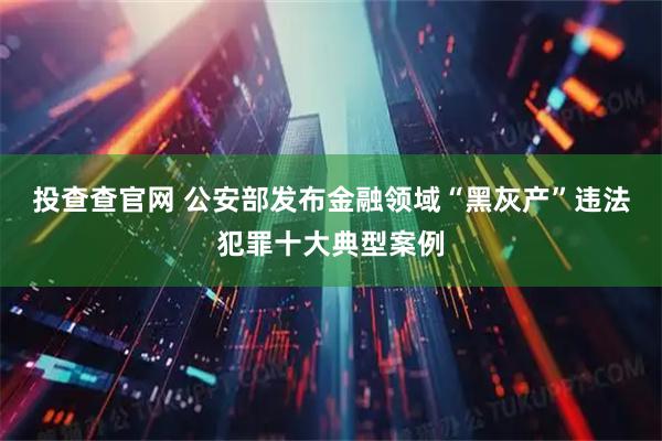 投查查官网 公安部发布金融领域“黑灰产”违法犯罪十大典型案例